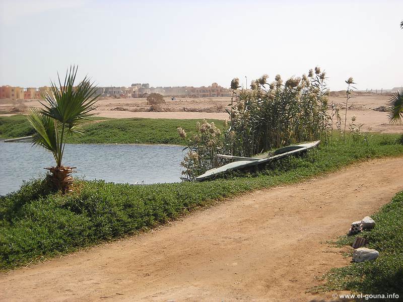 Fish Farm 0034